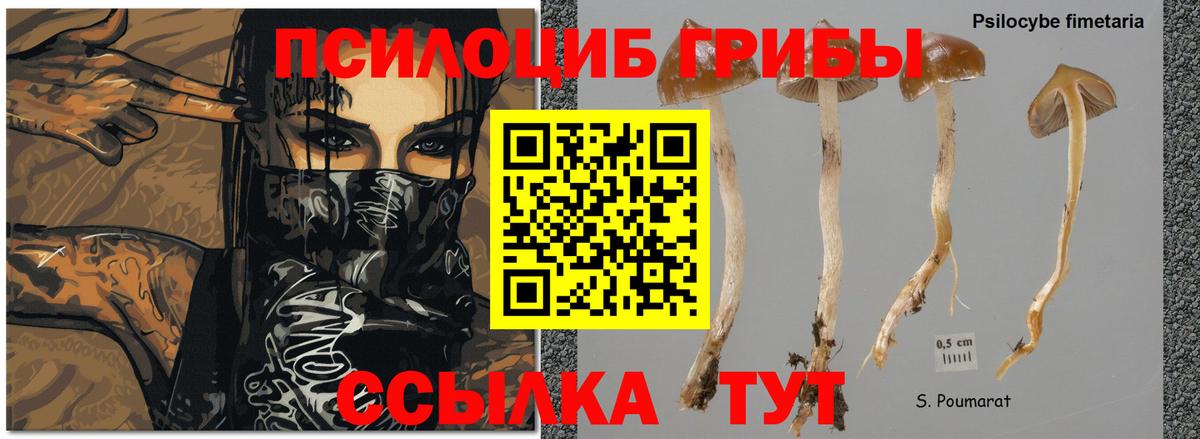 Новокубанск  Псилоцибиновые грибы MAGIC MUSHROOMS  Вход с VPN  Галлюциногенные грибы ЛСД 